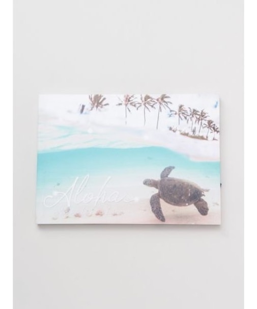 【カヒコ】リノアートボード