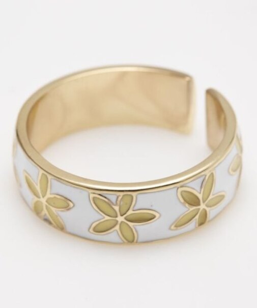 【カヒコ】オーノヒプルメリング