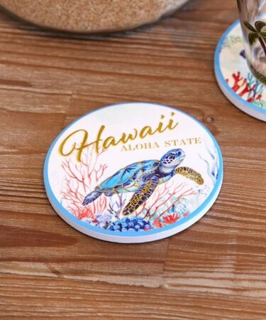 【カヒコ】マカナオーシャンコースター