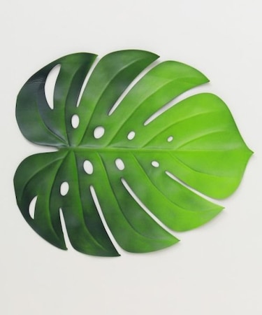 【カヒコ】モンステラウイプレイスマット