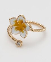 【カヒコ】プルメリノトゥリング