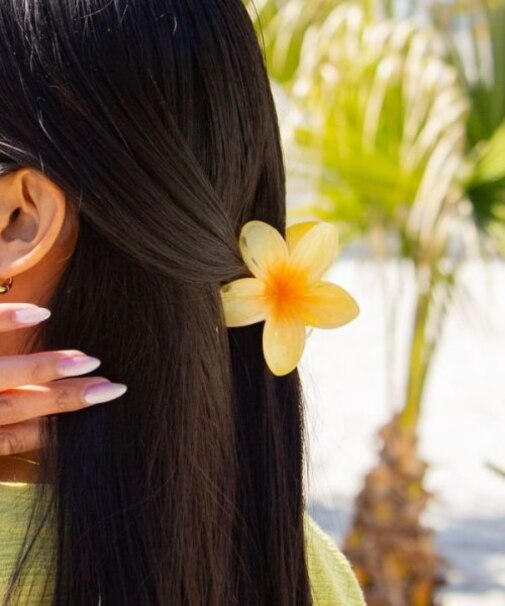 【カヒコ】プルメモハラヘアクリップ