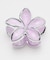 【カヒコ】メレプルメヘアクリップ