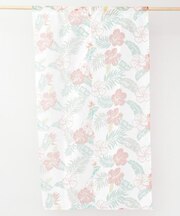 【カヒコ】ロハニカルノレン
