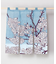 【カヤ】花見中暖簾