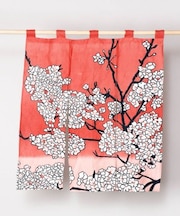 【カヤ】花見中暖簾
