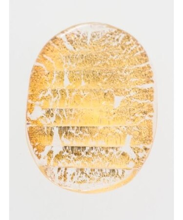 【カヤ】ガラス財布お守り