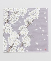 【カヤ】春錦ふきん