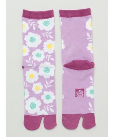 【カヤ】葵足袋（23-25cm）