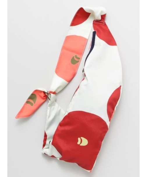 【カヤ】行楽小たすきＢＡＧ