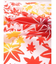 【カヤ】紅葉手拭