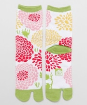 【カヤ】集め菊足袋（23-25cm）