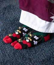 【カヤ】２４カシンタビ