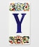 Y