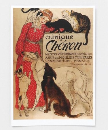 【欧州航路】ヴェテリネールポストカード