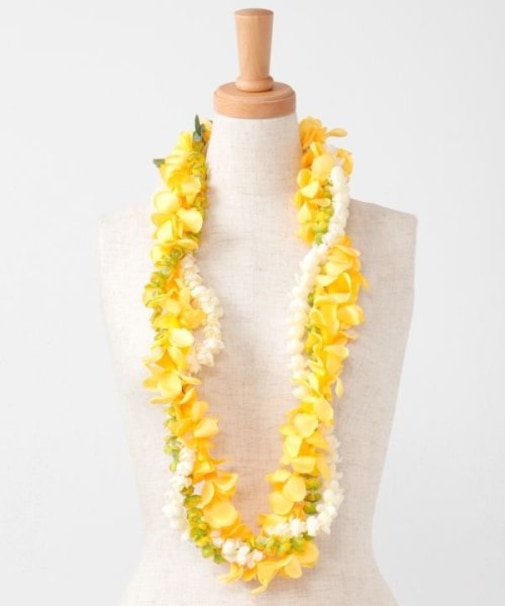 【マウナロア】ナニプアケニケニコンボレイ