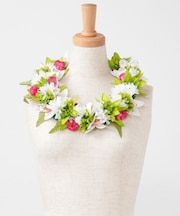 【マウナロア】シンビファーンレイ