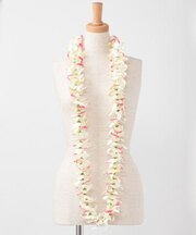 【マウナロア】オーキッドロングレイ