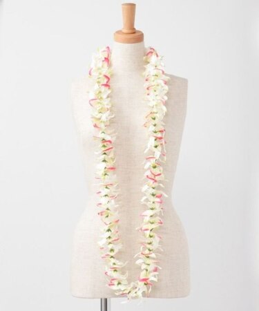 【マウナロア】オーキッドロングレイ