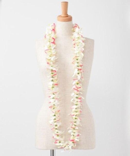 【マウナロア】オーキッドロングレイ