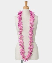 【マウナロア】オーキッドロングレイ