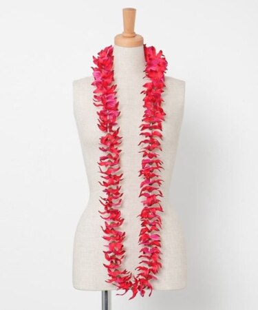 【マウナロア】オーキッドロングレイ