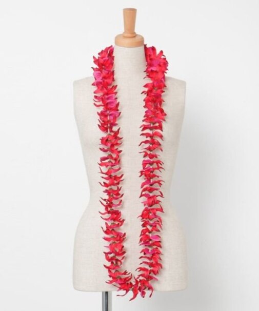 【マウナロア】オーキッドロングレイ