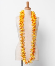 【マウナロア】オーキッドロングレイ