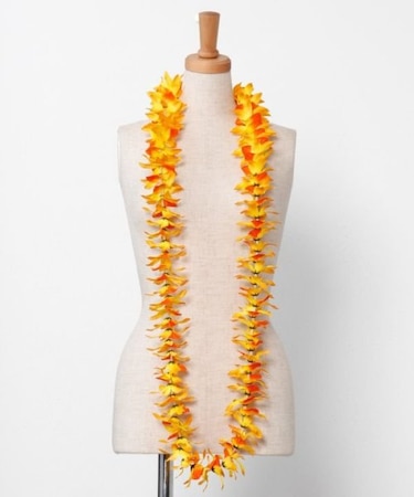 【マウナロア】オーキッドロングレイ