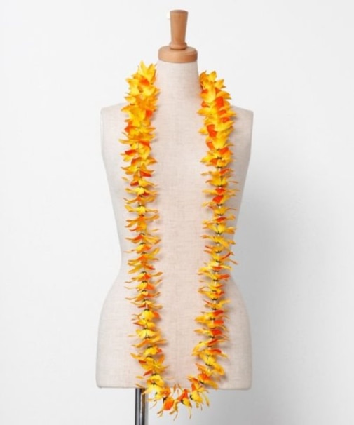 【マウナロア】オーキッドロングレイ