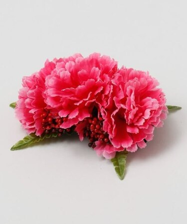 【マウナロア】プアカーネーションクリップ