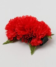 【マウナロア】プアカーネーションクリップ