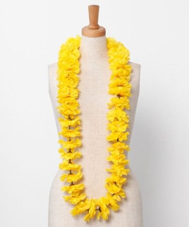 【マウナロア】プアカーネーションレイ