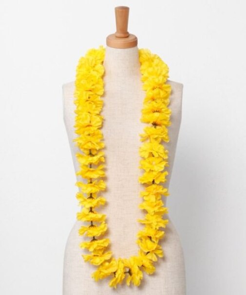 【マウナロア】プアカーネーションレイ