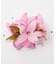 【マウナロア】ロイヤルリリー７輪クリップ