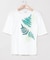 【マウナロア】ファーンＴシャツ（５分袖）