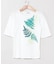 【マウナロア】ファーンＴシャツ（５分袖）