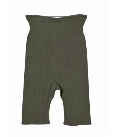 PALM POINTALE SHORTS