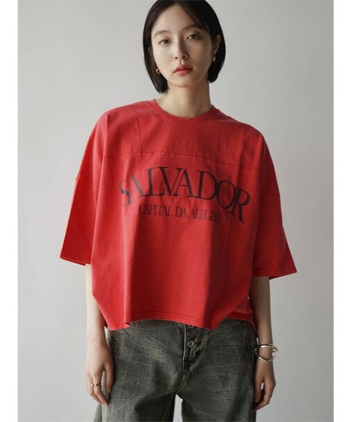 ケミカルウォッシュドルマンロゴTシャツ