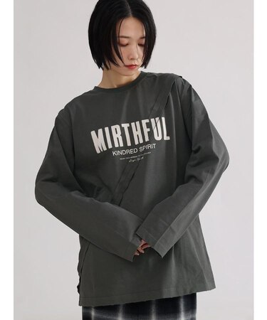 ピグメントロンT