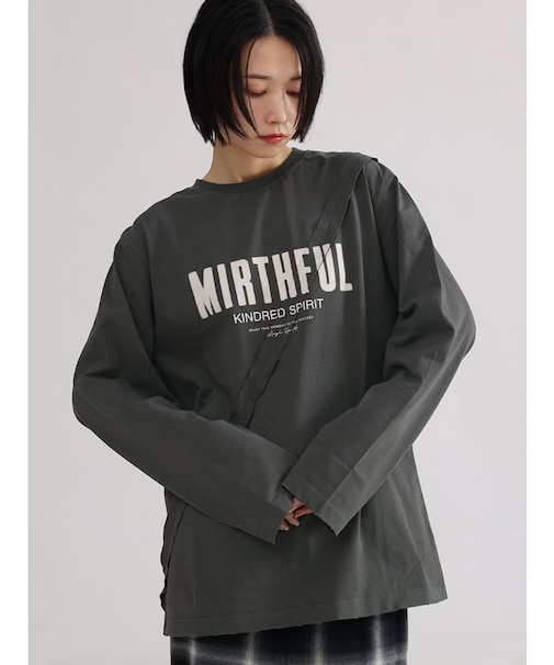 ピグメントロンT