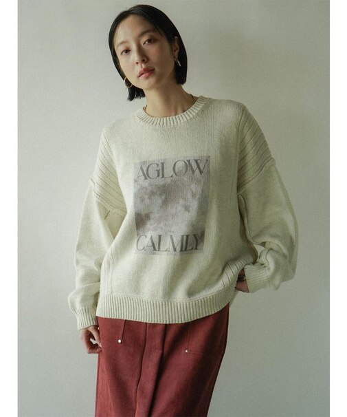 フォトロゴニットプルオーバー