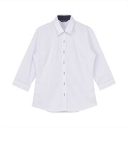 レギュラー 七分袖 形態安定 レディースシャツ