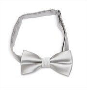 蝶ネクタイ シルバー ビジネス フォーマル