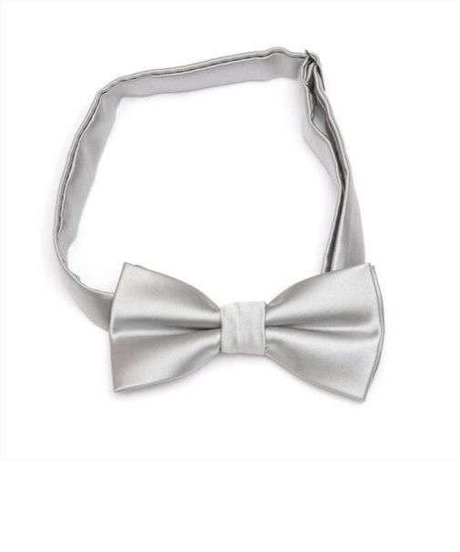 蝶ネクタイ シルバー ビジネス フォーマル