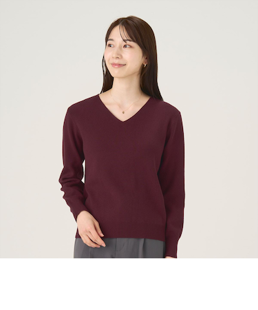 Ｖネックニットプルオーバー ベーシック レディース