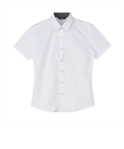 【透け防止】 レギュラー 半袖 形態安定 レディースシャツ