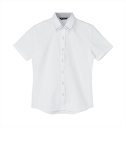 【透け防止】 レギュラー 半袖 形態安定 レディースシャツ