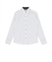 【超形態安定】 レギュラー 長袖 形態安定 綿100% レディースシャツ