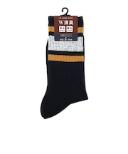 靴下 ライン ソックス 消臭W効果 25-27cm メンズ